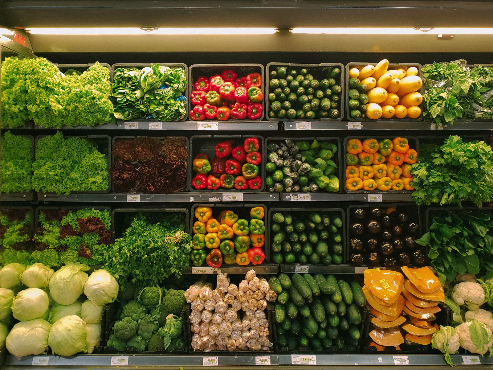Food & FMCG